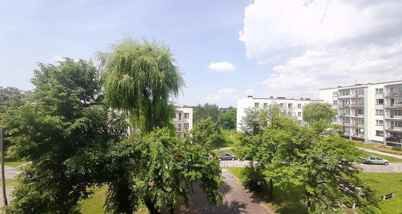 Bursztynowy Apartament Tarnowskie Góry Exterior foto