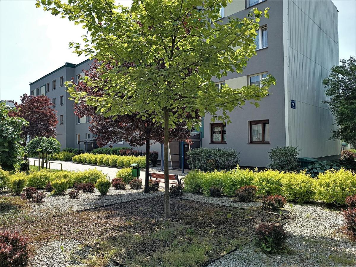 Bursztynowy Apartament Tarnowskie Góry Exterior foto