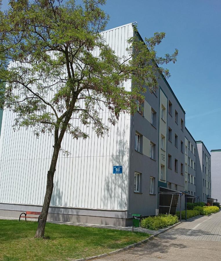 Bursztynowy Apartament Tarnowskie Góry Exterior foto